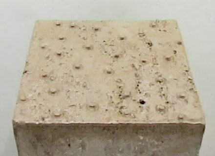 Gomba
