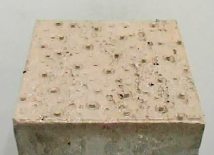 Gomba