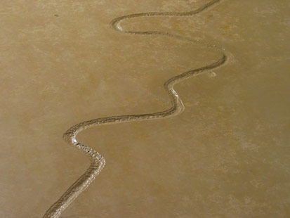 Kanyon