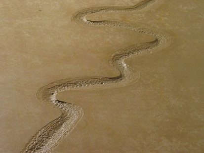 Kanyon
