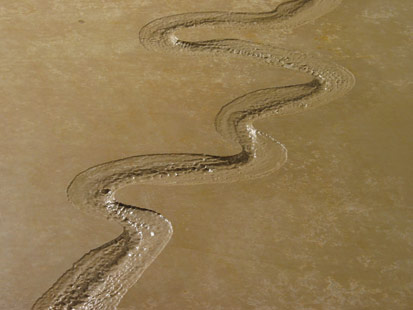 Kanyon