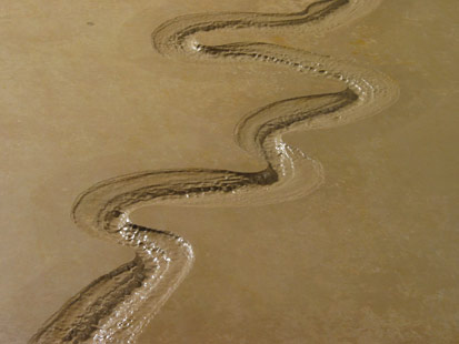 Kanyon