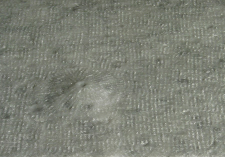 Olympus Mons
