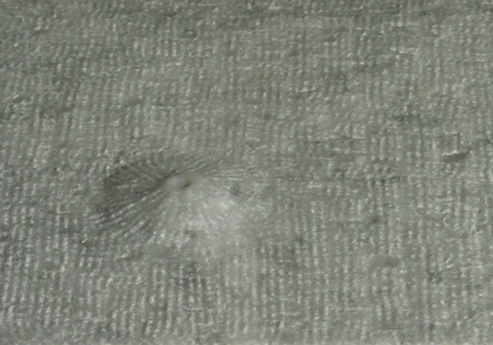 Olympus Mons