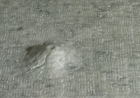 Olympus Mons