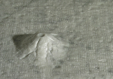 Olympus Mons