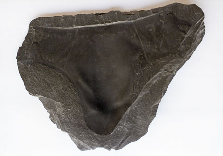 Self-Reconstruction