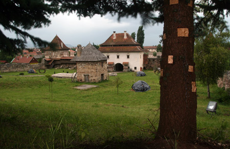 Plasztikai sebszet I.