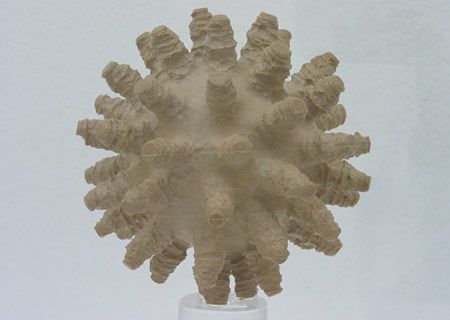 Virus